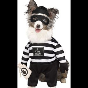 Halloween costume for pets
